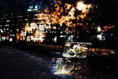 świąteczny las w słoiku na ławce w parku wieczorową porą