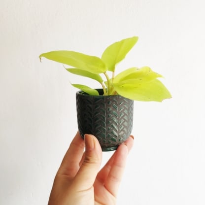 osłonka ceramiczna zielona jodełka 6 cm zielony słoik